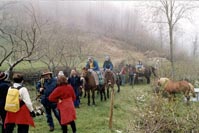 L'escursione con i muli in Val Nerina