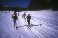 Corso di sci a Foca d'Acero